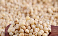 Broom-corn (thin)
