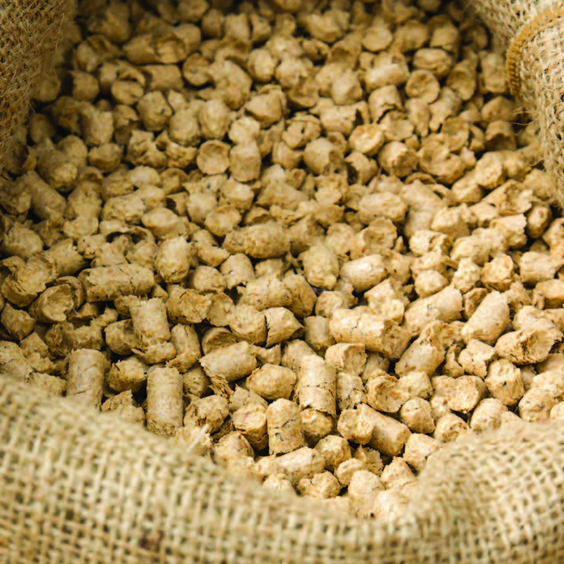 Feed Products