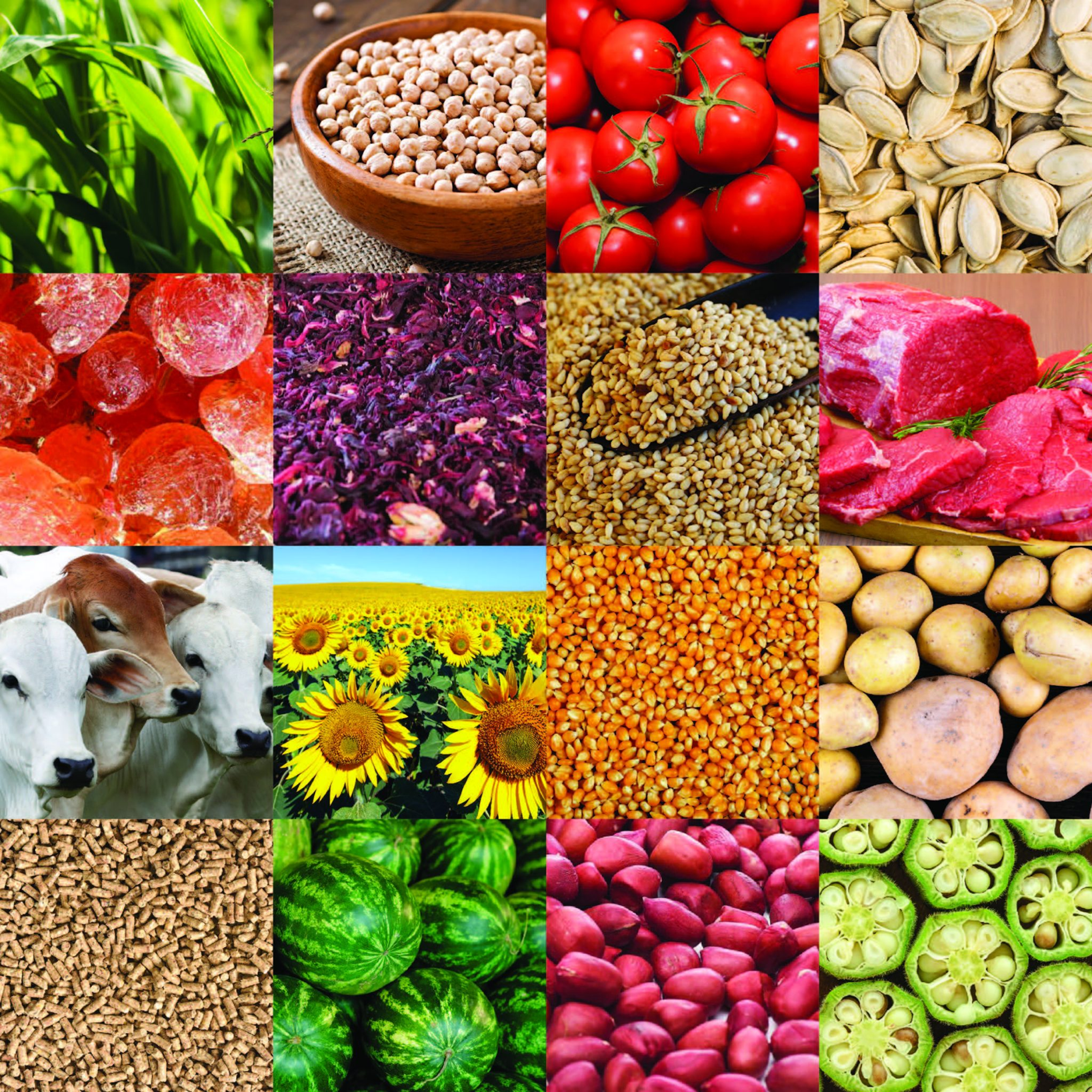 Vegetables & Fruits
